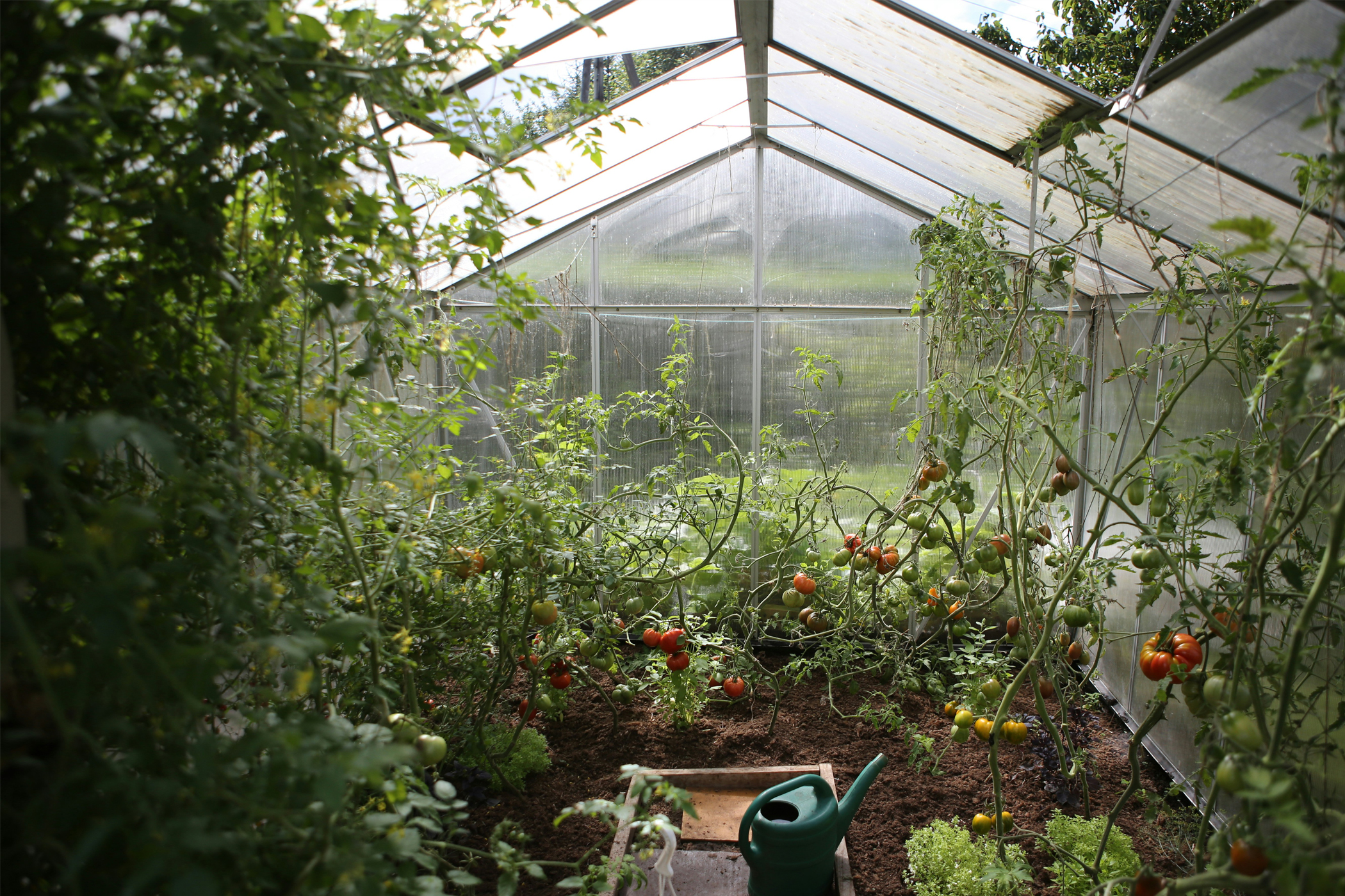 Smart Greenhouses